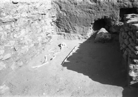 Original Digital object not accessible