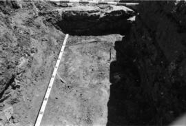 Vue prise en 1981.