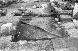 Liaise Cardo-Decumanus.