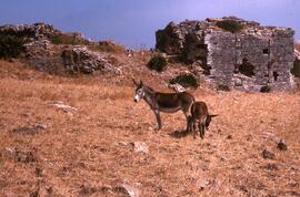 Théâtre (mur ext.).