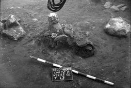 Necrópolis SE/Corte D/T.17.