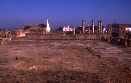 Place du Forum/Forum et basilique. Vue depuis le podium.