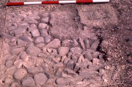 Marché. Édifice aux deux escaliers/Sondage 11.