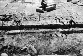 Portique septentrionale.