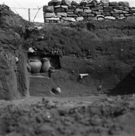 Necrópolis SE/Corte I.