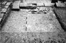 Salle D/Passage H/Forum piédestral.