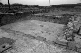 Sector III /Oeste Forum.