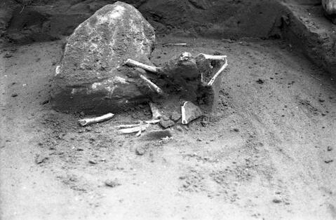 Original Digital object not accessible