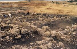 Secteur III/Vue ensemble secteur III depuis angle NE avant la fouille.