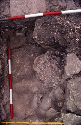 Secteur III/Amphores tombées des angles NE salle VIII 1 mure E.