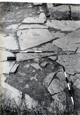 Belo IV-1981. Decumanus. S 22 (IX/81). Avant fouille.