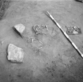 Nécropole S.E./ Necr. SE/Corte C T.10.