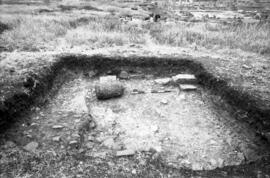 Liaise Cardo-Decumanus.