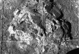 Salle D/Galerie occidentale.