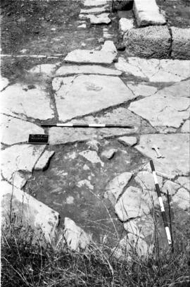 Macellum/Decumanus.