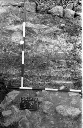 Galerie occidentale/Passage H/PASSAGE H/S. 5.