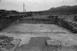 Sector III /Oeste Forum.