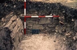 Secteur III/Vue angle NW de S. VIII 1.