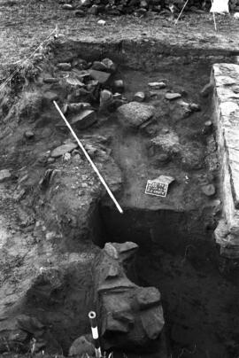 Necrópolis SE/EE-FF 42-43/C. I OESTE.