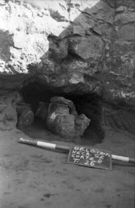 Nécropole SE/Corte D/ T 26.