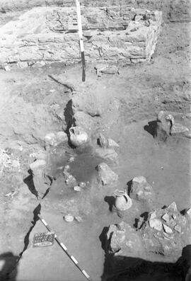 Nécropole SE/Corte D/T.14.