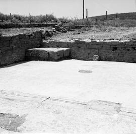 Sector III /Oeste Forum.