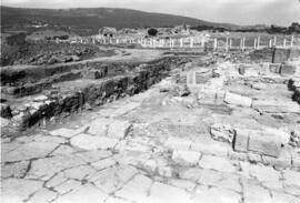 Macellum S. I et II.