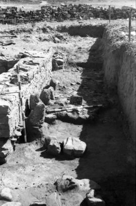 Necrópolis SE/NECR. EE-FF/42-43/C. I SUR.