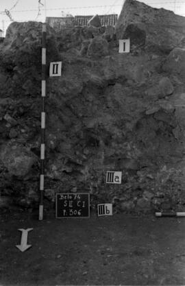 S. II C 1/P : 306.