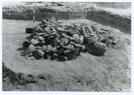 Nécropole SE 74/Corte C.