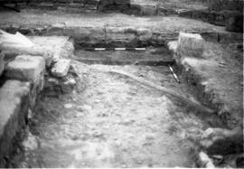 Liaise Cardo-Decumanus.