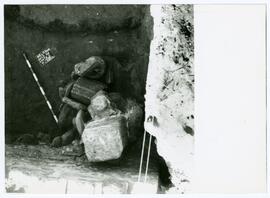 Nécropole SE 74/Corte D/T.20.