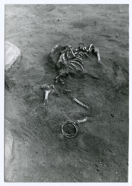 Nécropole SE 74/Corte D.