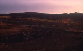 Basilique et grande maison du SE au premier plan.