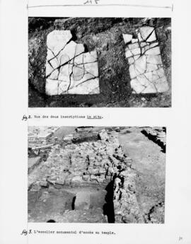 Fig. 2: Vue des deux inscriptions in situ. Fig. 3: L'escalier monumental d'accès au temple.