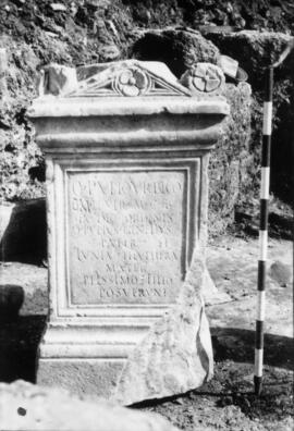 Forum/Pedestal Pupius.