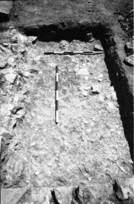 Salle D/Passage H/Forum piédestral.