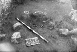 Necrópolis SE/Corte D/T.21.