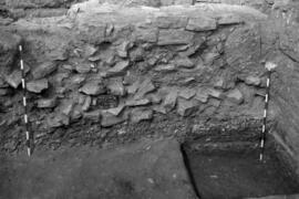 SW Bass/S.I/74/b'-c'- Est.