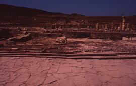Sud basilique. Decumanus.