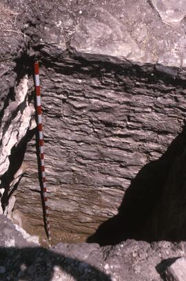 S. 6 - le mur. Mur de la terrasse des temples.