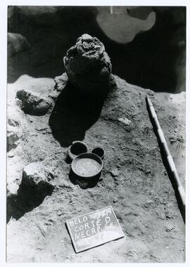 Nécropole SE 74/Corte D/T. 17.