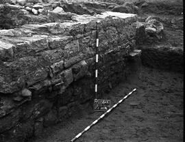 Necrópolis SE/NECR. EE-FF-42-43/C. I SUR.