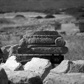 Chapiteau Basilique. 168.