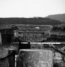 Chapiteau Basilique. 735.