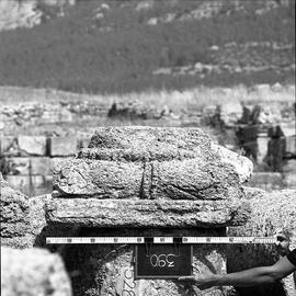 Chapiteau Basilique. 390.