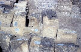 Basilique (Ent 1ª et 2ª ordre).