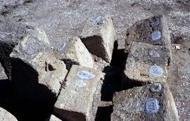 Basilique (Ent 1ª ordre).