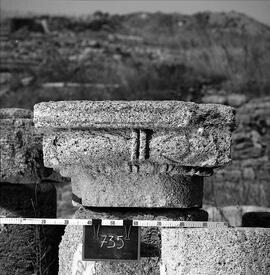 Chapiteau Basilique. 735.
