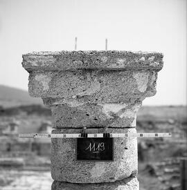 Chapiteau Basilique. 356.